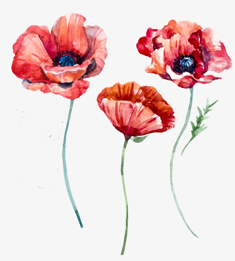 Watercolor, transparent png #206832