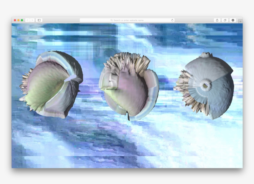 Sofia - Sophiebrags@gmail - Com - - Shell, transparent png #207023