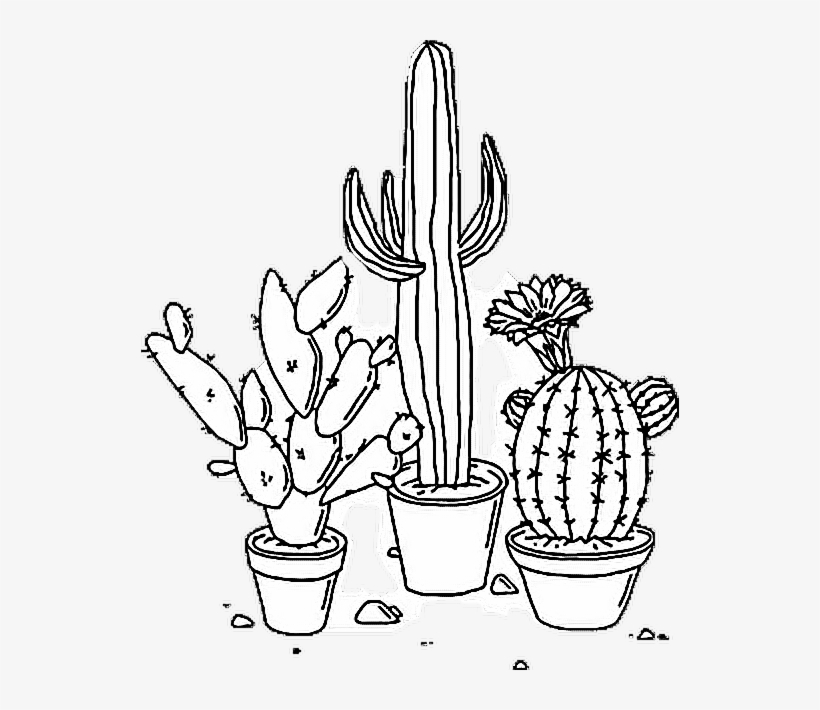 Sticker Tumblr Aesthetic Png Cactus Plant Blackandwhite - Aesthetic Tumblr Drawings Plants, transparent png #207308