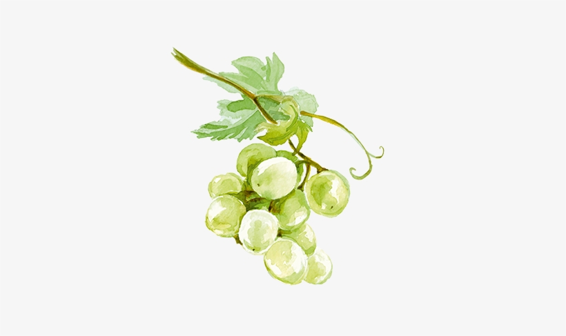 Fruit Fruit - Seedless Fruit, transparent png #207557