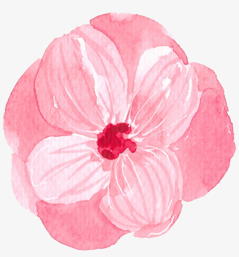 Thank You For Contacting Us - Flowering Dogwood, transparent png #207946