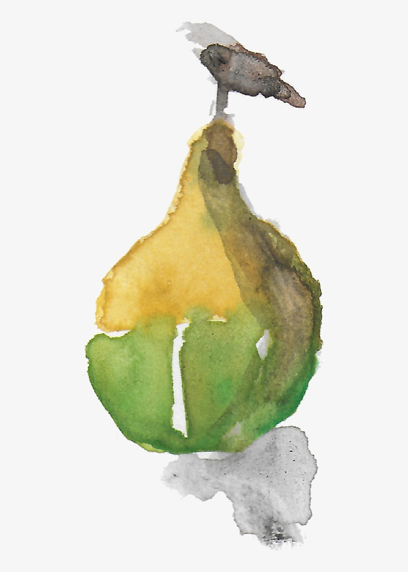 Courge6 - Pear, transparent png #208029