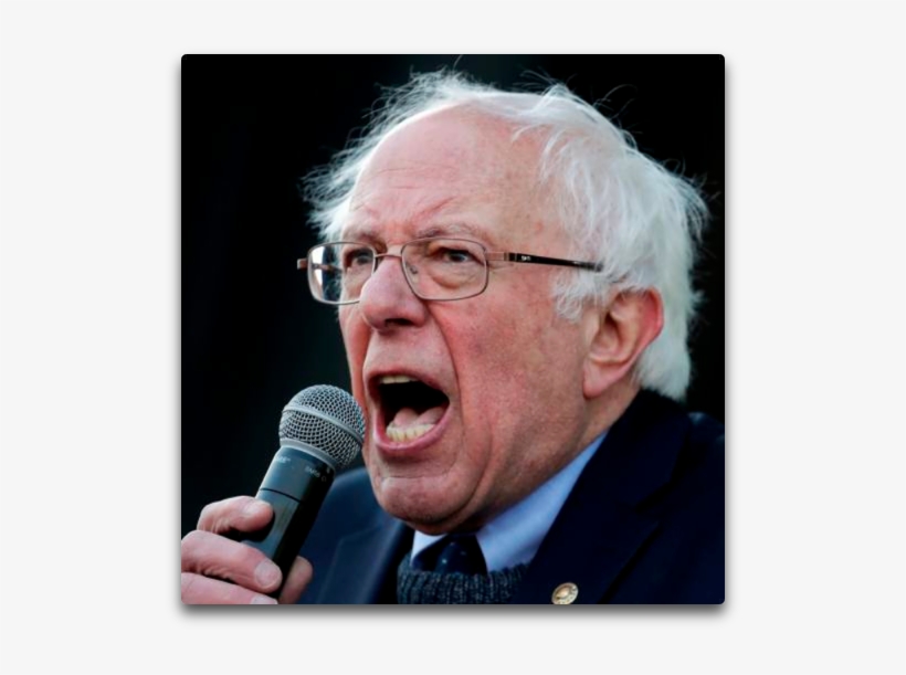 I See That We Now Have Socialists Coming Out Of The - Bernie Sanders, transparent png #208074