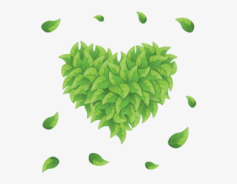 Cannabis Leaf Clip Art - Vector Graphics, transparent png #209004