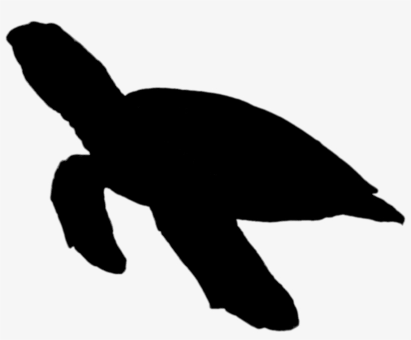 Sillhoute Turtle Png, transparent png #209033