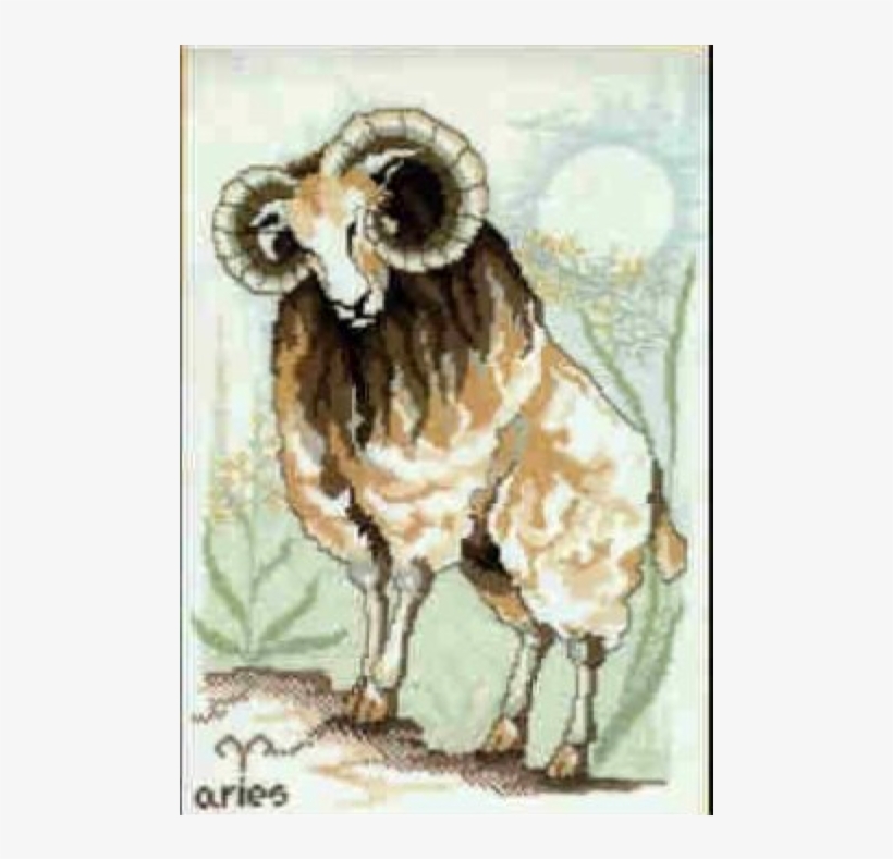 Marie 9b - Joy Sunday Cross Stitch Kits, A Goat,11ct Printed,, transparent png #209303
