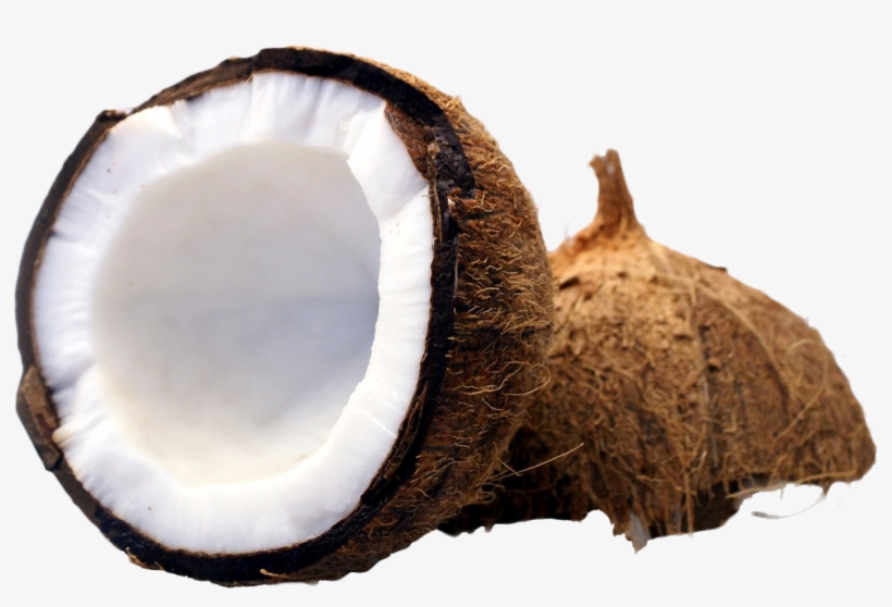 Coconut - Coconut Png, transparent png #209420