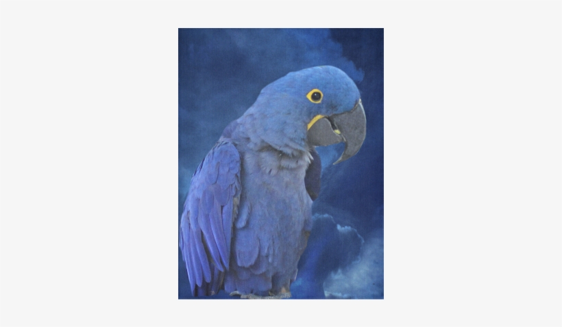 Hyacinth Macaw Cotton Linen Wall Tapestry - Hyacinth Macaw Budget Tote Bag, Adult Unisex, Natural, transparent png #209471