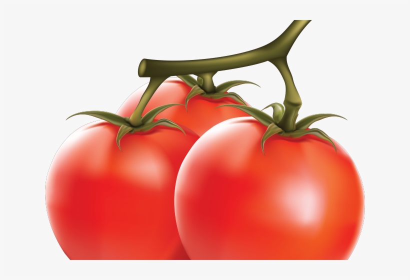 Tomato Png Transparent Images - Tomato Seed Oil (cold Pressed, Unrefined) Assists Le, transparent png #209898
