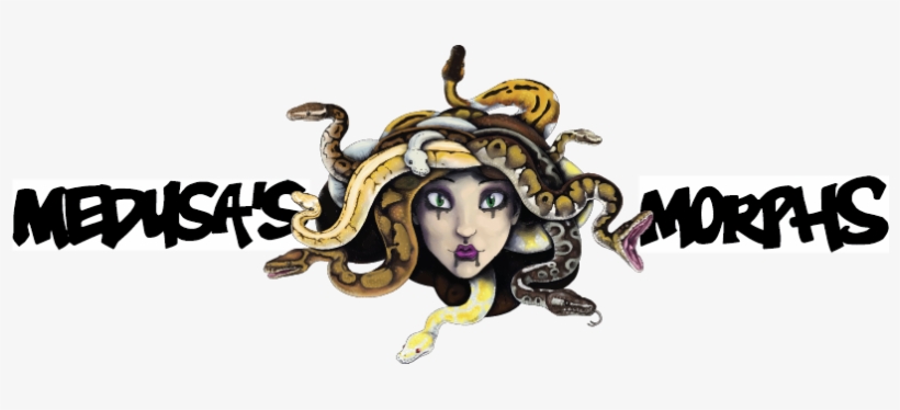 Medusa's Morphs - Portable Network Graphics, transparent png #2000550