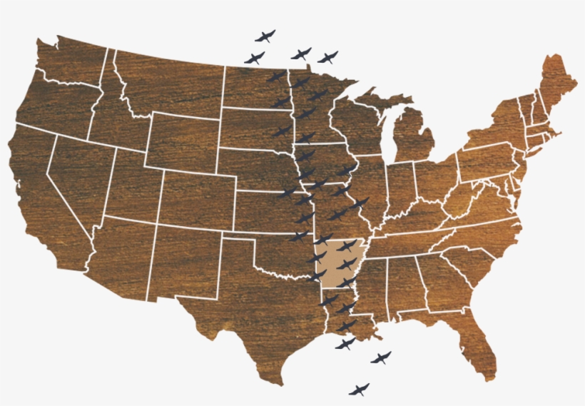 Mississippi Flyway Map - 14 Karat Three Tone Yellow Gold, White Gold And Rose, transparent png #2000688