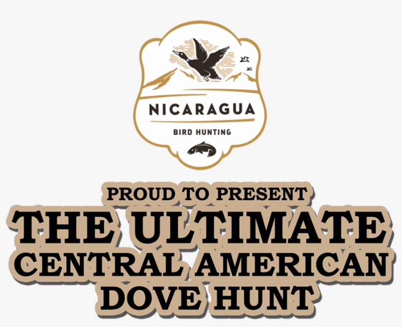 When You Make Nicaragua Your Dove And Duck Hunting - Midpoint Cafe, transparent png #2000855