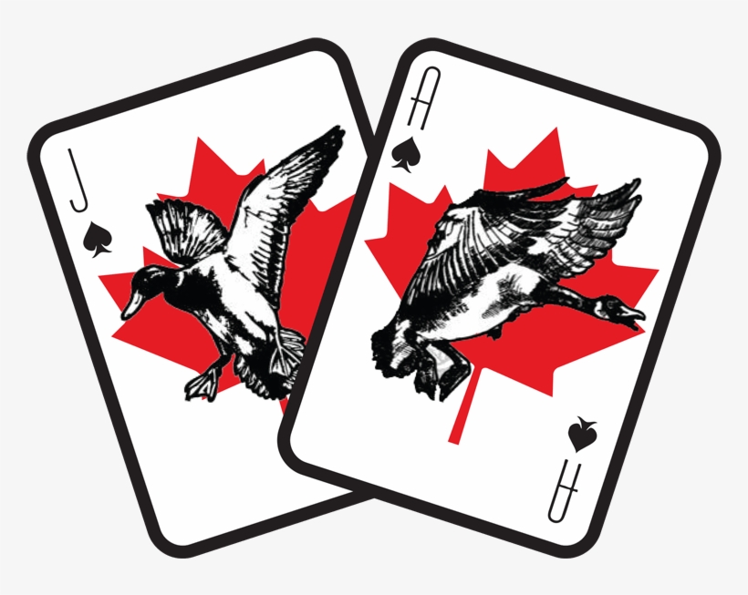 Bjo Logo-min - Facebook, transparent png #2000965