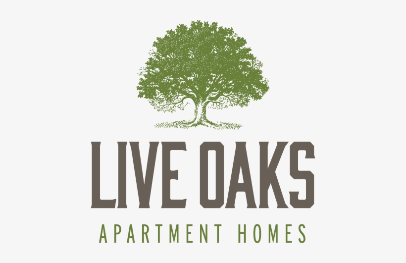 Live Oaks Logo - Epistle To The Romans, Vol. I: Exegetical Outlines, transparent png #2002449