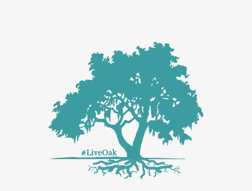 Active Full Lifecycle Investing - Live Oak Tree Silhouette, transparent png #2002671