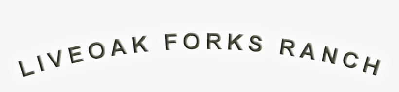 Paper, transparent png #2002981