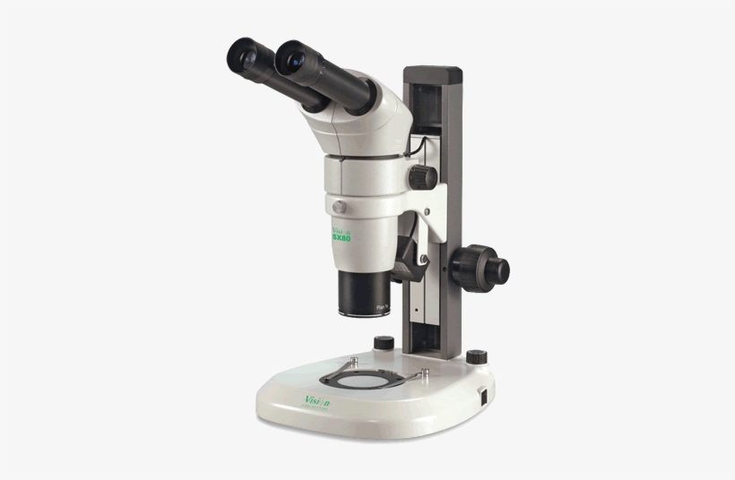 Home - Stereo Microscopes, transparent png #2003329