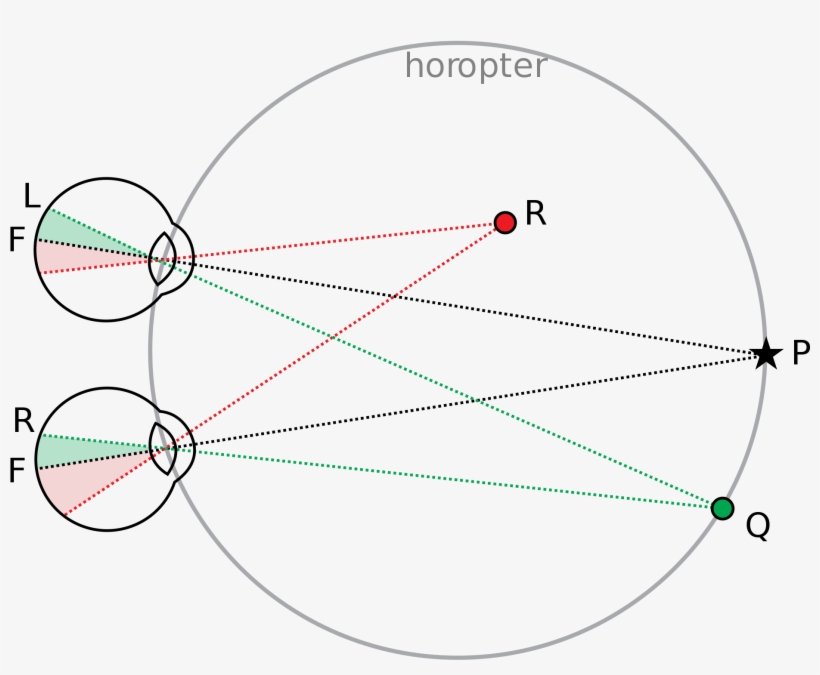 Open - Binocular Vision, transparent png #2003658