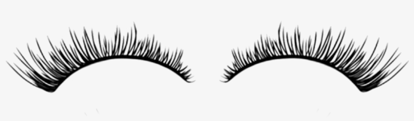 Image Library Download Popular And Trending Lashes - Lash Facts, transparent png #2003949