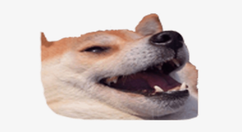 Design Any Discord Emoji - You Take A Shit And They Have - Free
