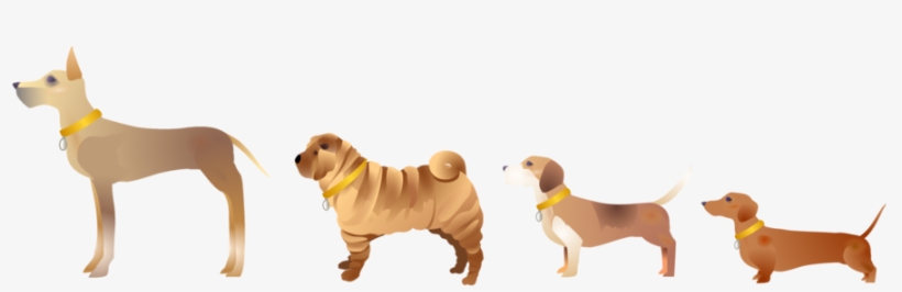 The Images Are Based On Real Dogs In The Charity's - Dog, transparent png #2004940