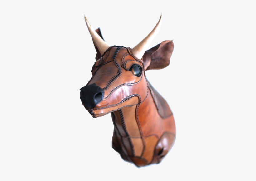 Deer Head, Full-size - Deer, transparent png #2005837
