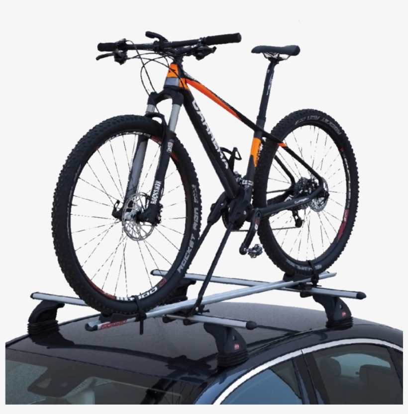 2018 cannondale trail 3