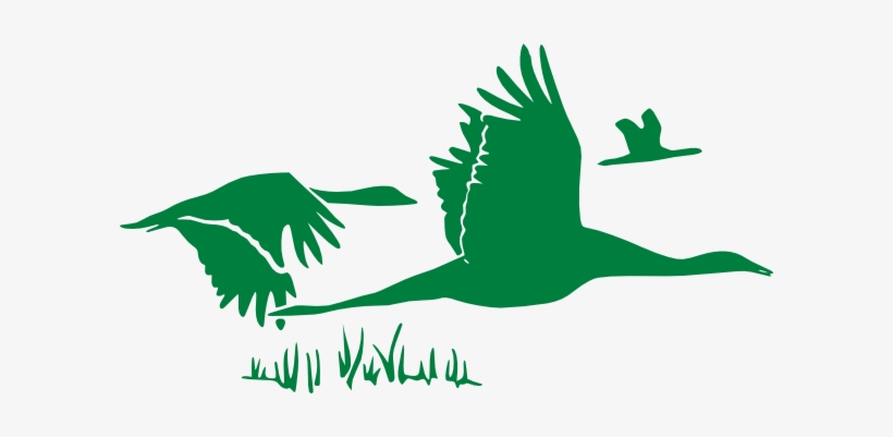 Green Geese Svg Clip Arts 600 X 321 Px, transparent png #2006064