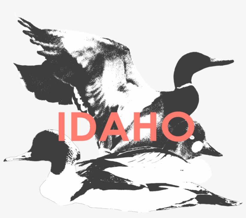 Idaho - Oregon, transparent png #2006367