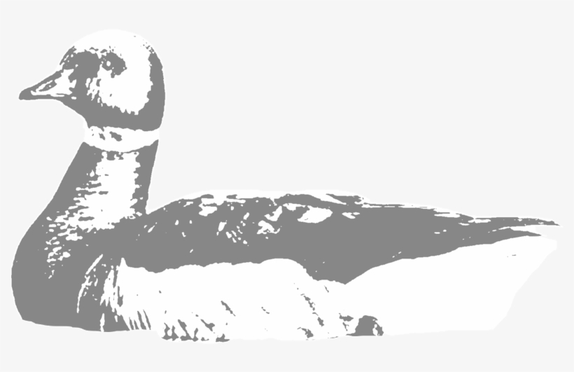 Brant - Cold Bay, transparent png #2006544