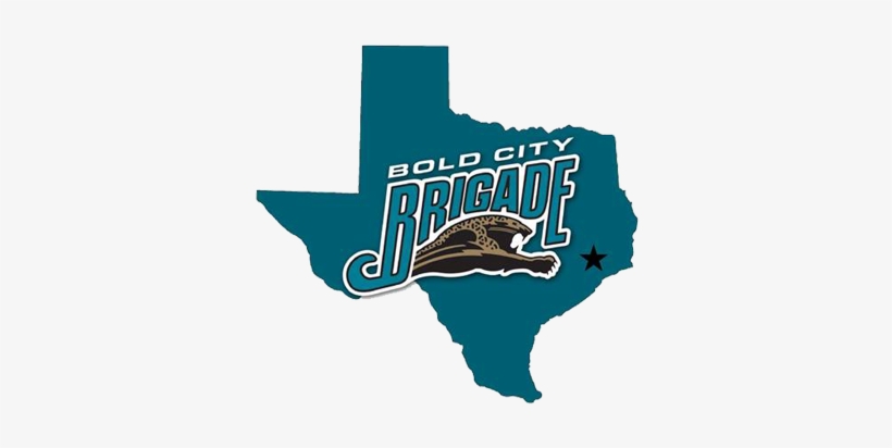 Bold City Brigade - Vintage 1993 Jacksonville Jaguars Tee Xl, transparent png #2006871