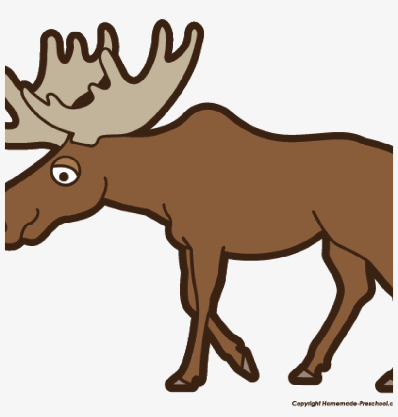 Png Royalty Free Graduation Cap Hatenylo Com Top Clip - Moose Clip Art Free, transparent png #2007572