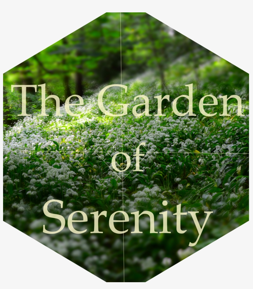 Turtle And Moose, transparent png #2007783