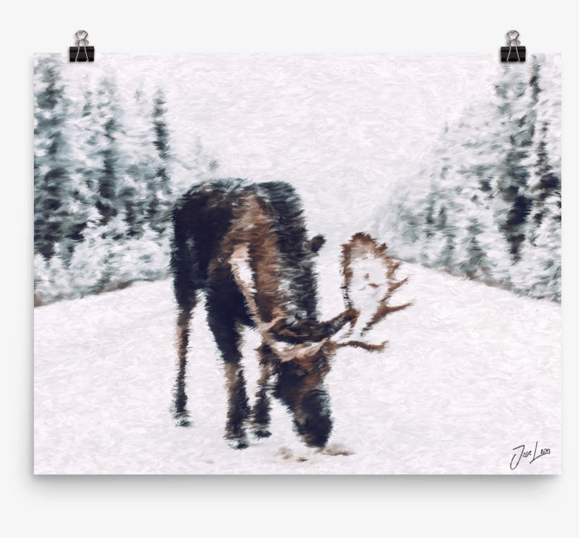 Moose Print - Moose, transparent png #2007809
