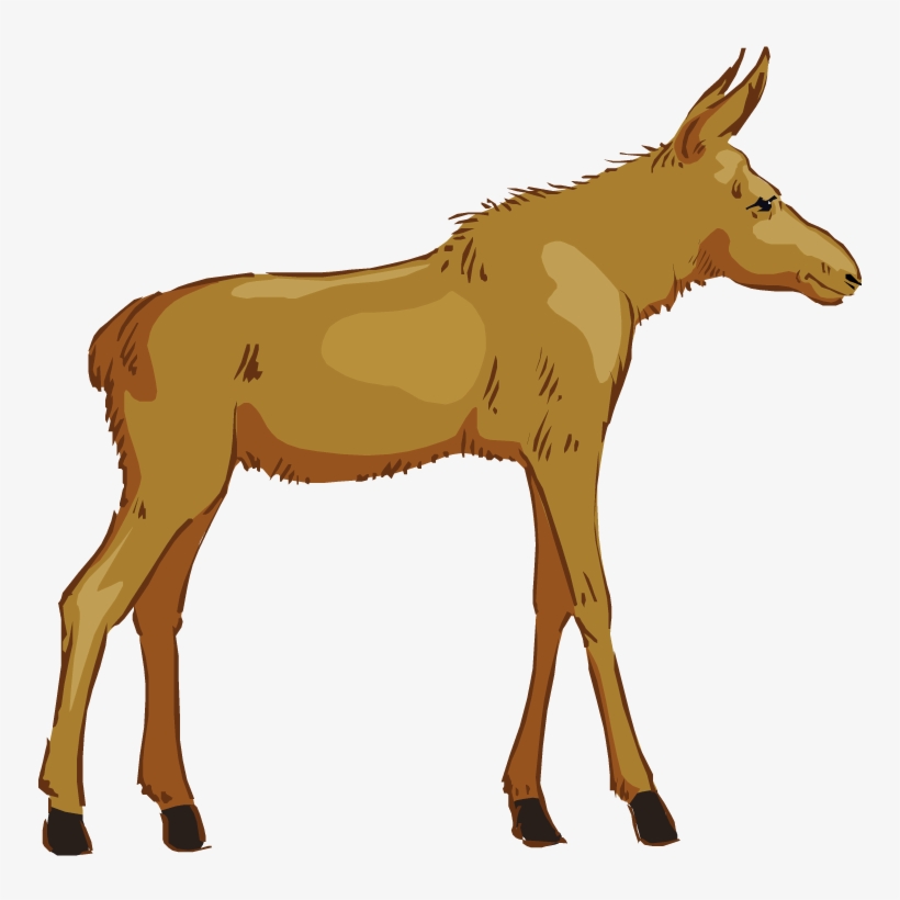 Free - Clip Art, transparent png #2007984
