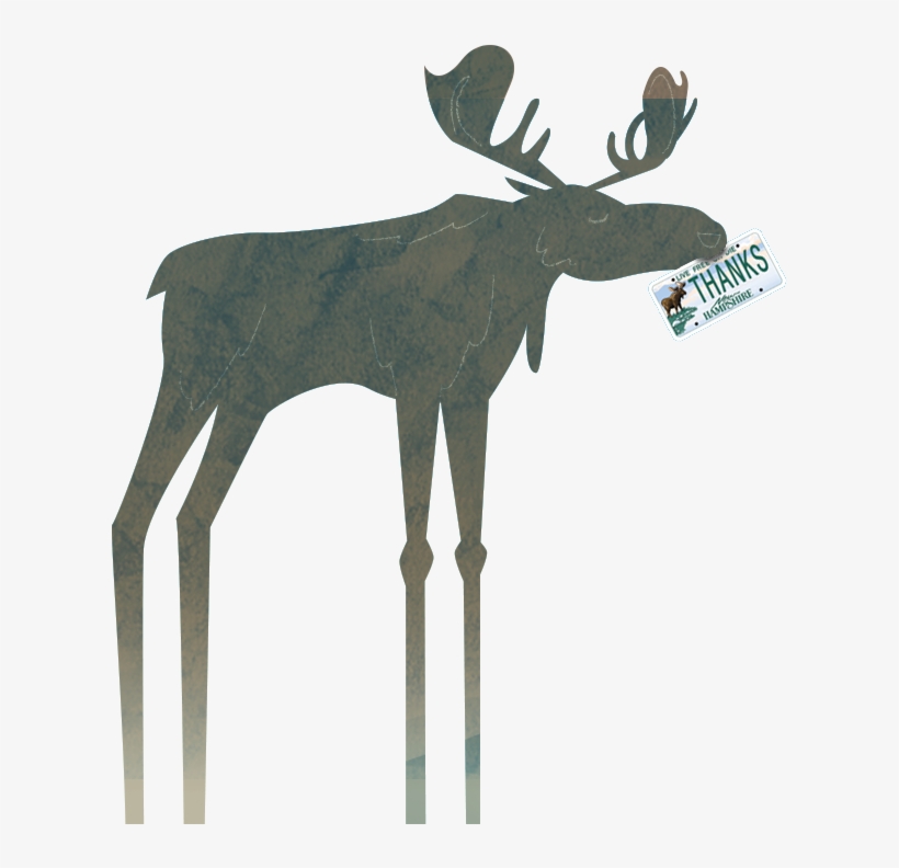 Where Is Your Moose Plate - Nh Moose Plate Grant, transparent png #2008035