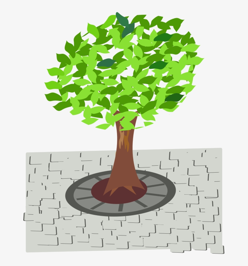 Medium Image - Tree Street Png, transparent png #2008133