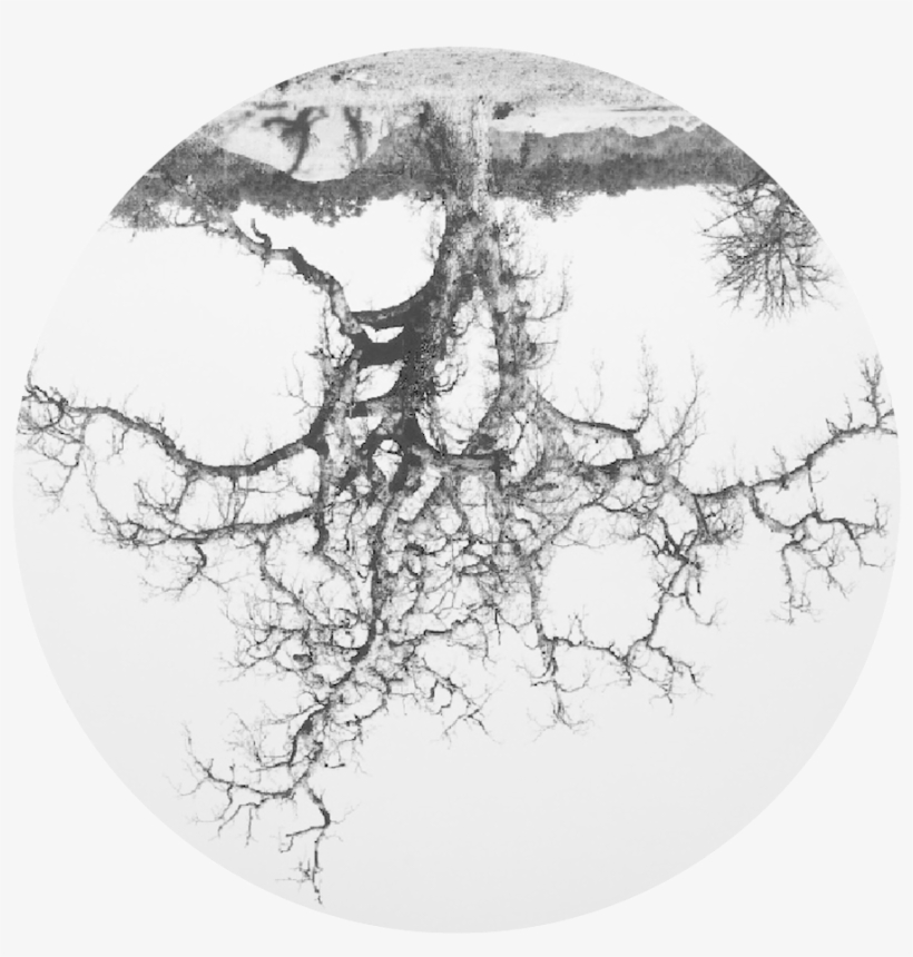 “you Don't Have To Delve Very Deeply Into Modern Physics - Rodney Graham, transparent png #2008490