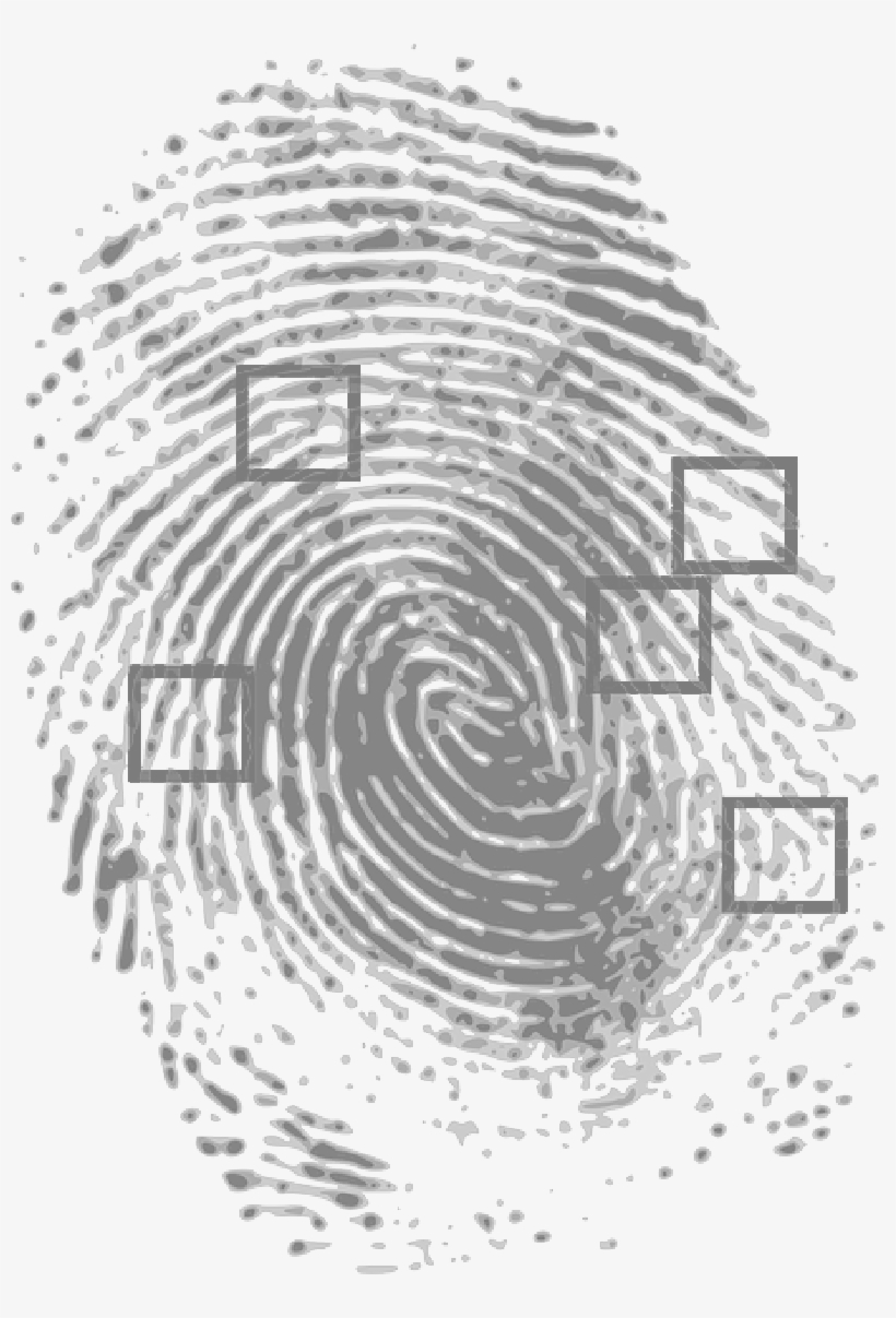 Mb Image/png - Dna Fingerprinting In Solving Crimes, transparent png #2008759