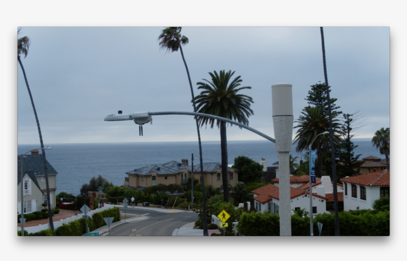 Solutions Abound For Cameras, Including Obvious Law - Attalea Speciosa, transparent png #2009018