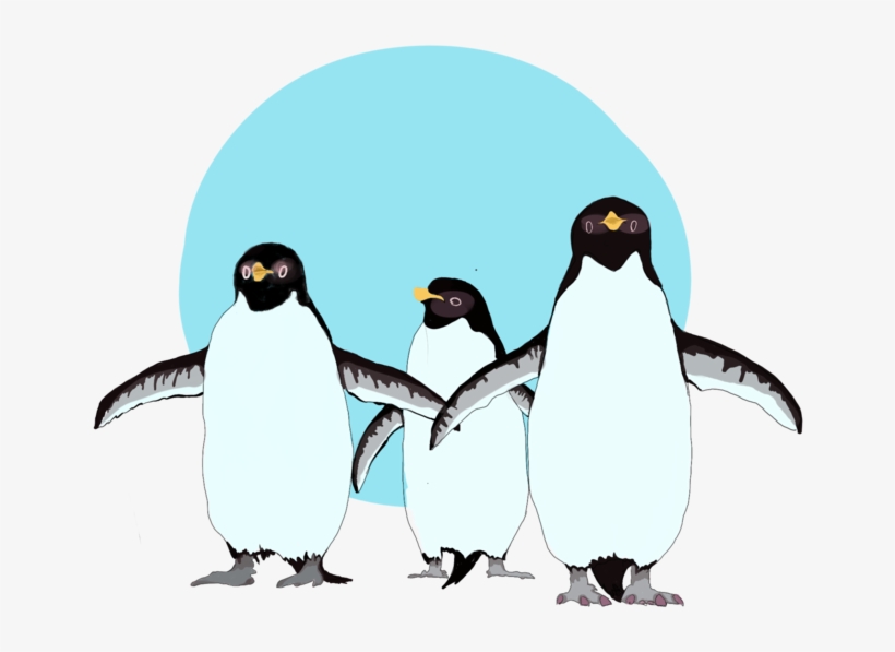 Penguins, transparent png #2009459