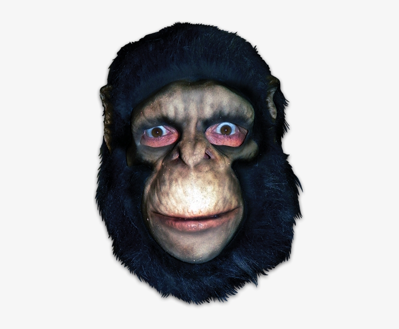 Chimpanzee Full Head - Trick Or Treat Studios Chimpanzee Full Head Mask, transparent png #2011499