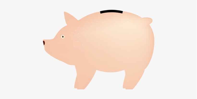 Contact - Domestic Pig, transparent png #2011773