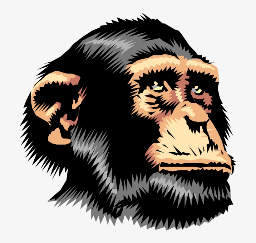 Chimpanzee - Love My Chimpanzee T Shirt, transparent png #2012048