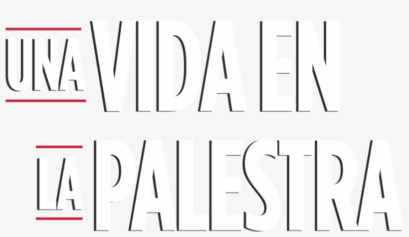 Descubra El Nuevo Museo - Poster, transparent png #2012050