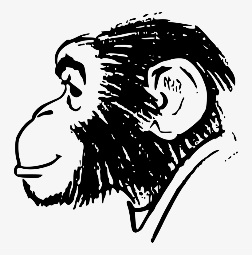 Clip Free Stock Ape Monkey Chimpanzee Human Drawing - Monkey Head Clip Art, transparent png #2012104