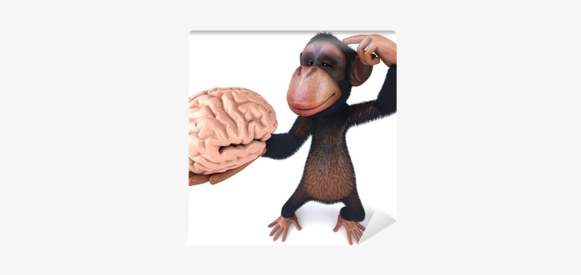 Buying A Home 2017: Don't Let Them Make A Monkey Out, transparent png #2012322