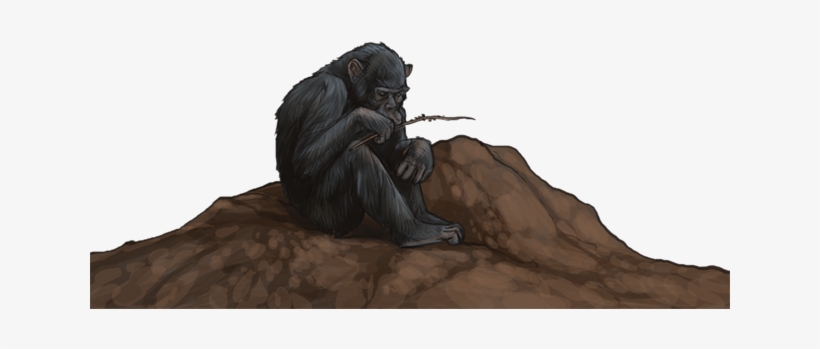 Chimpanzeeday - Portable Network Graphics, transparent png #2012465
