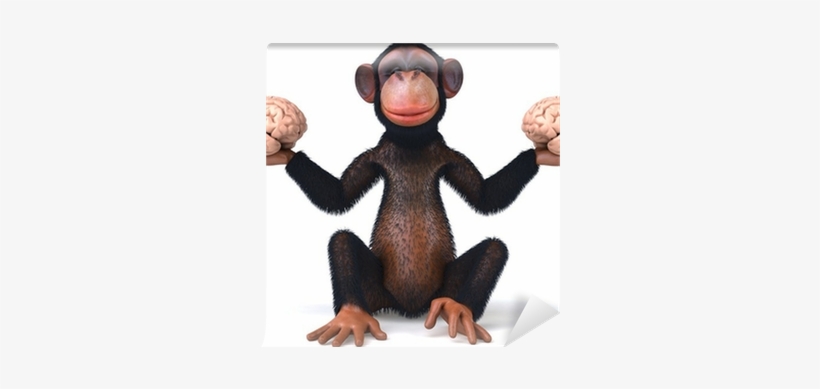 Good Proud Monkey A Schizophrenics Soldier's Tale, transparent png #2012591