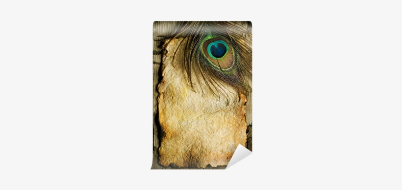 Peacock Feather Png - Paper, transparent png #2012900